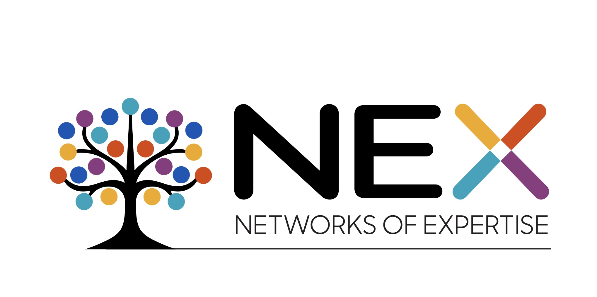 Networks of Expertise